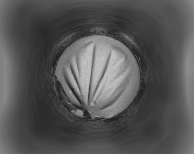 X0000082951015200703020144