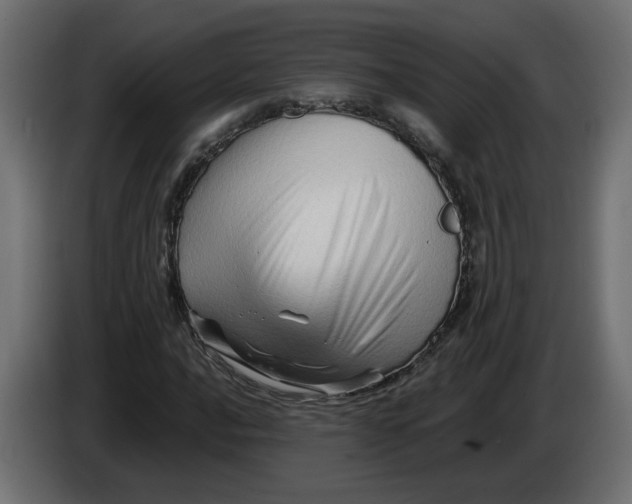 X0000082951016200703020144