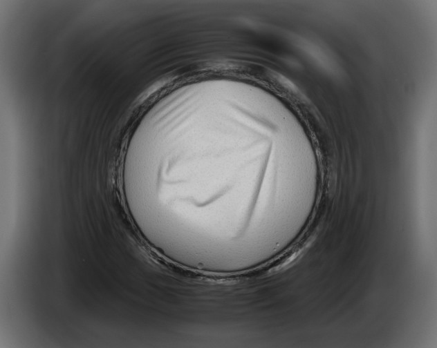 X0000082951017200703020144