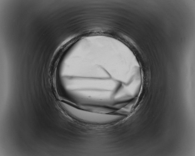 X0000082951018200703020144