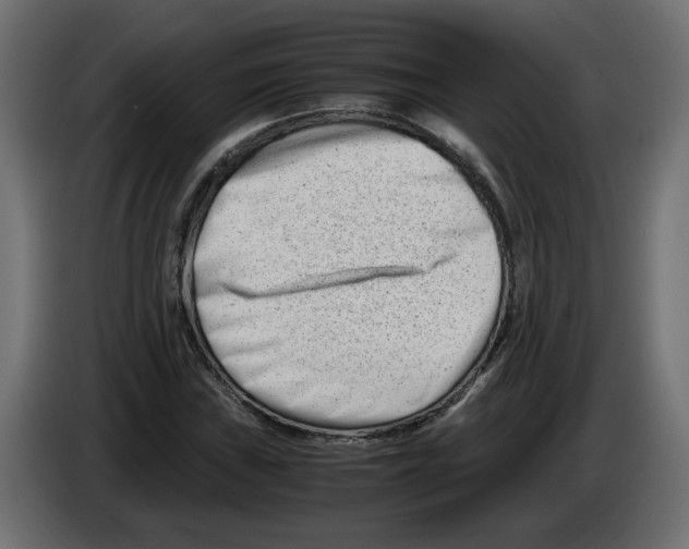 X0000082951019200703020144