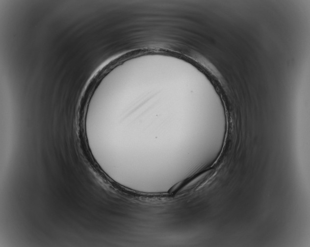 X0000082951020200703020144