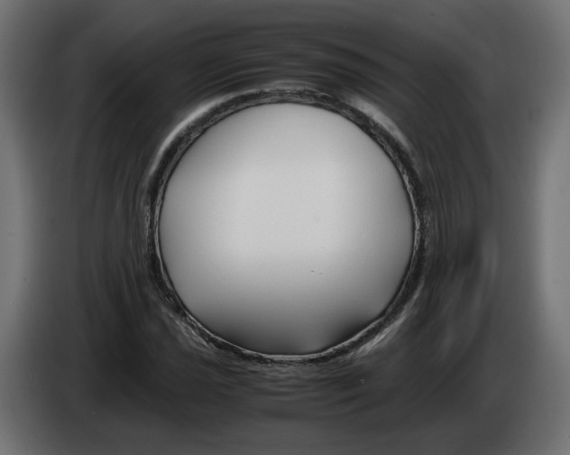 X0000082951021200703020144