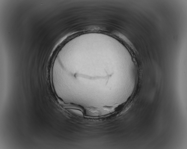 X0000082951023200703020144