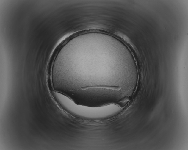 X0000082951024200703020145