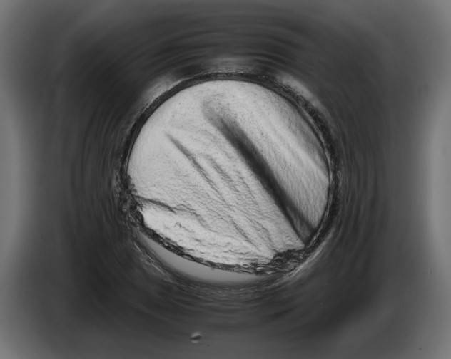 X0000082951025200703020145