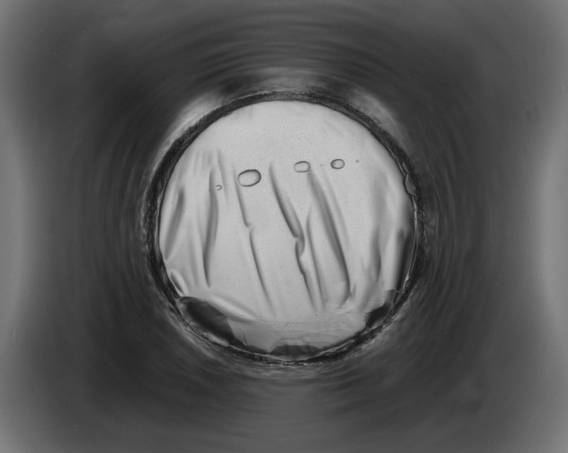 X0000082951026200703020145