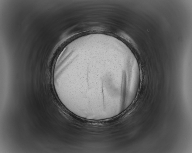 X0000082951027200703020145