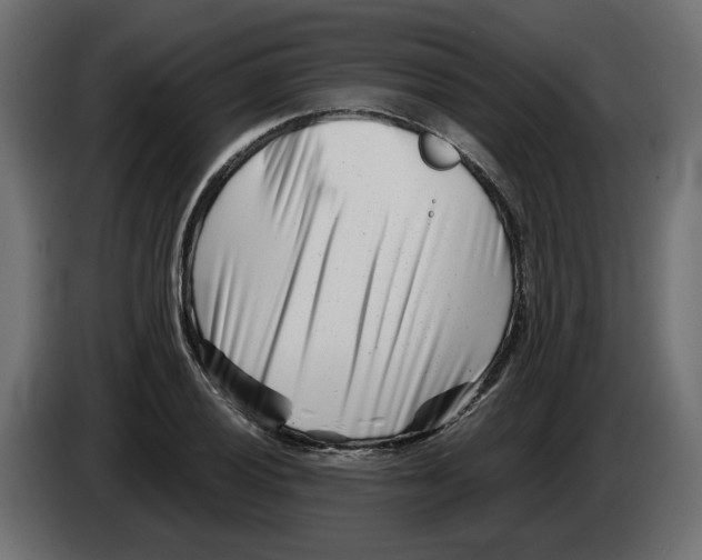 X0000082951028200703020145