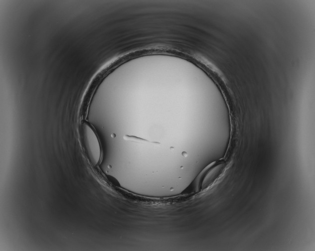 X0000082951029200703020145