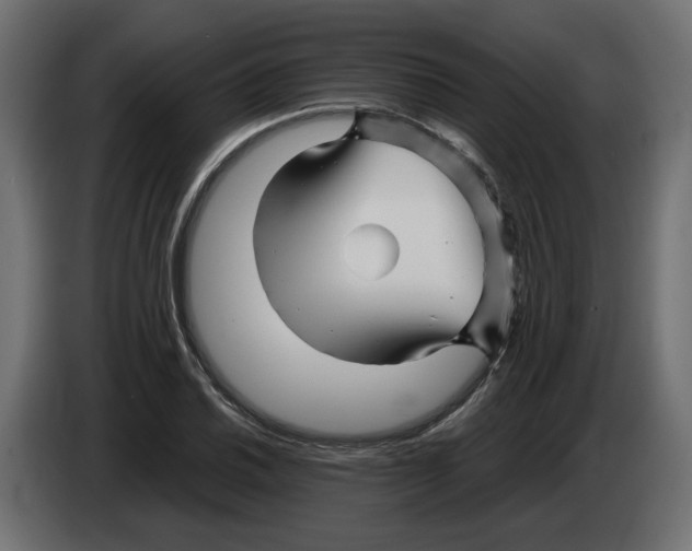 X0000082951030200703020145