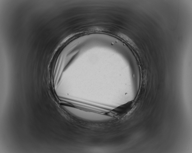 X0000082951031200703020145