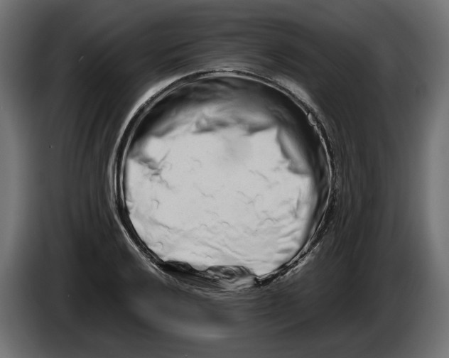 X0000082951032200703020145