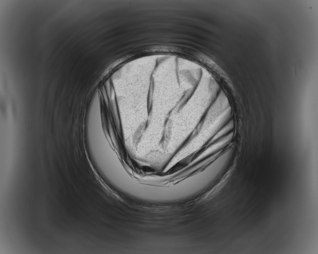 X0000082951033200703020145