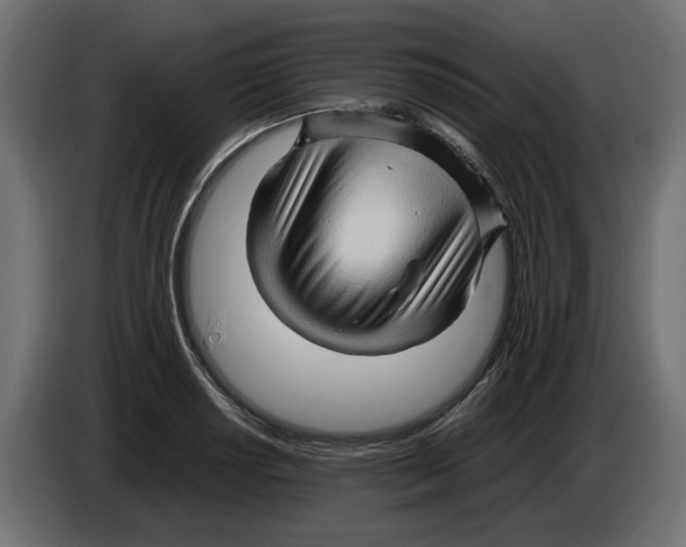 X0000082951034200703020145