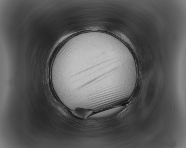 X0000082951035200703020145