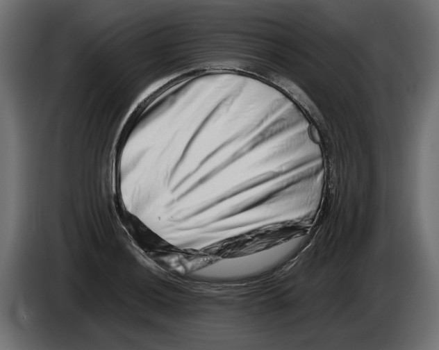 X0000082951036200703020145