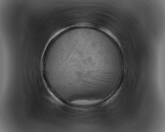 X0000082951037200703020145