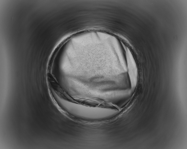 X0000082951038200703020145