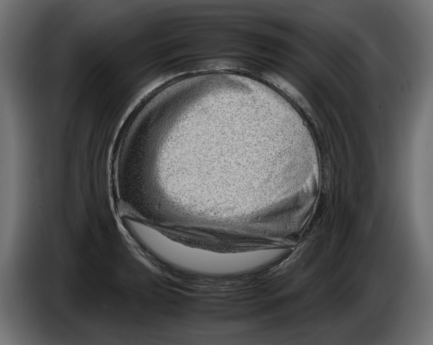 X0000082951039200703020145