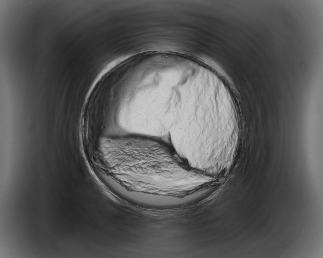 X0000082951040200703020145