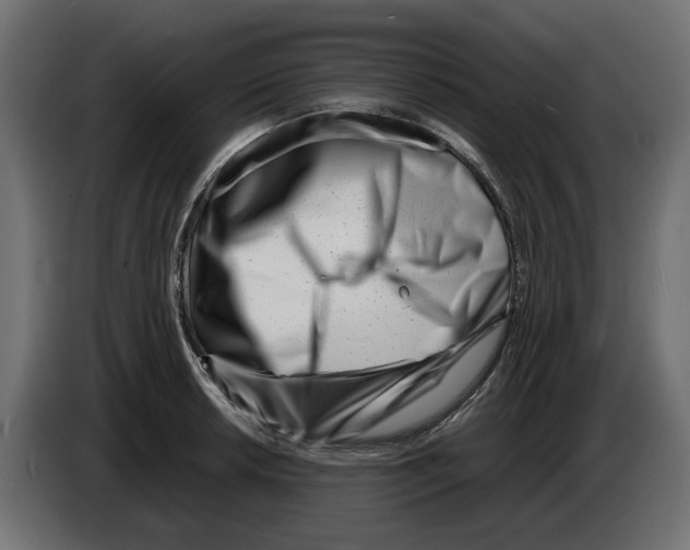 X0000082951042200703020145