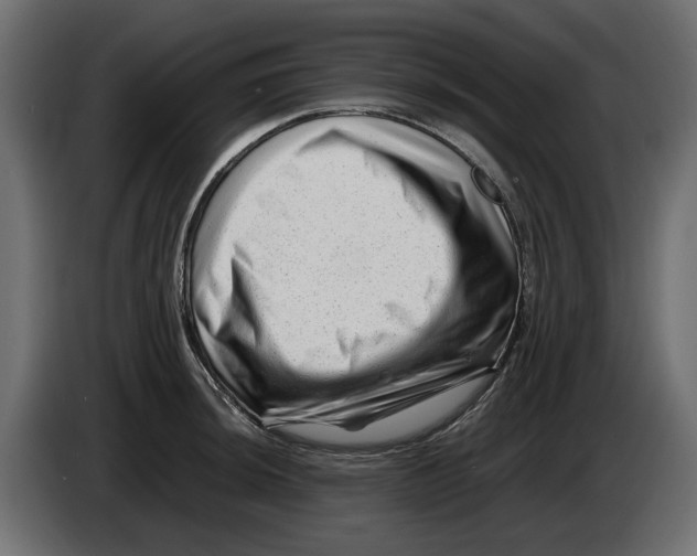 X0000082951044200703020145