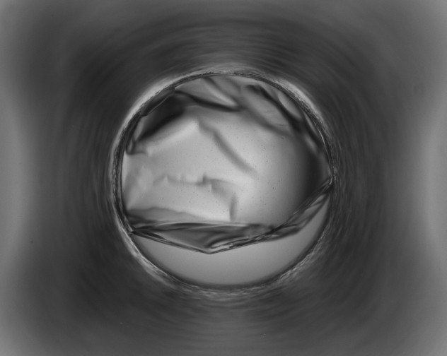 X0000082951046200703020145