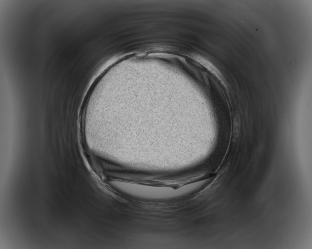 X0000082951047200703020145