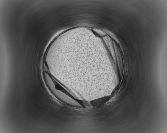 X0000082951048200703020145