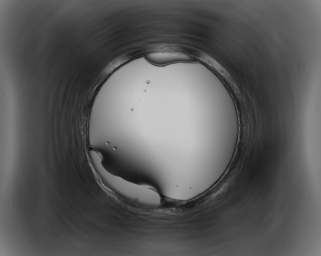 X0000082951049200703020145