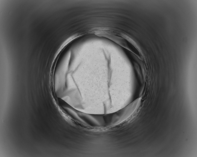 X0000082951050200703020145