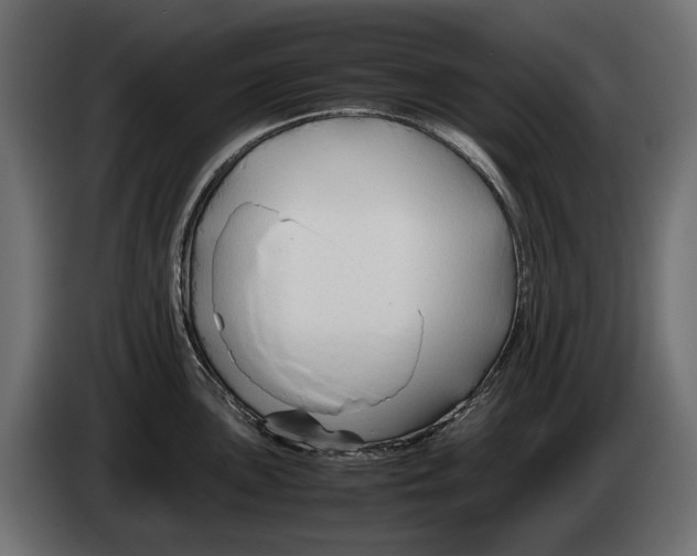 X0000082951051200703020145