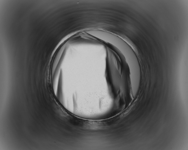 X0000082951052200703020145