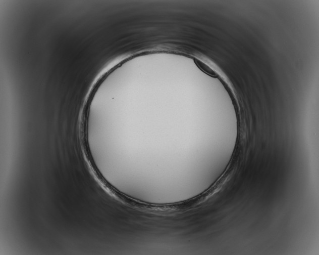 X0000082951053200703020145