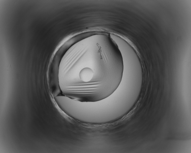 X0000082951054200703020145