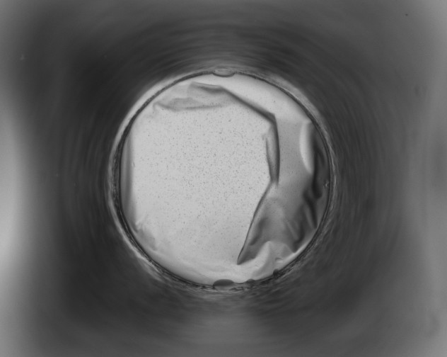 X0000082951056200703020145