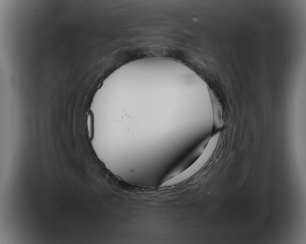 X0000082951057200703020144