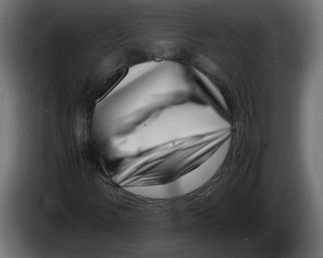 X0000082951058200703020144