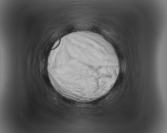 X0000082951059200703020144