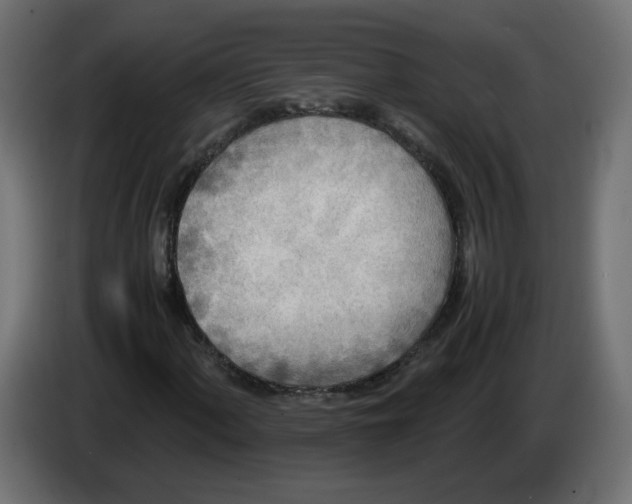 X0000082951060200703020144