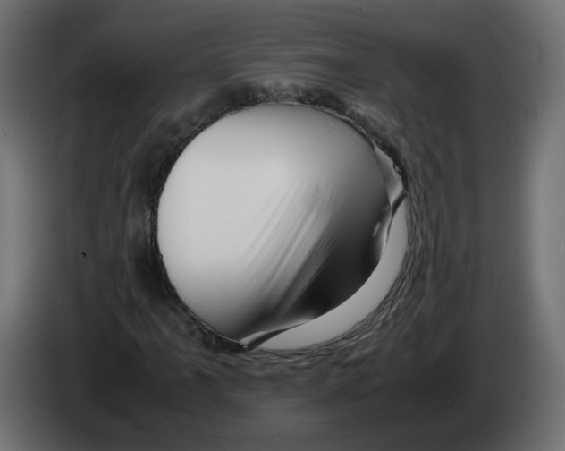 X0000082951061200703020144