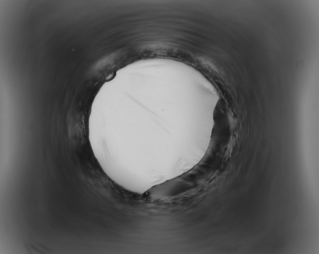 X0000082951062200703020144