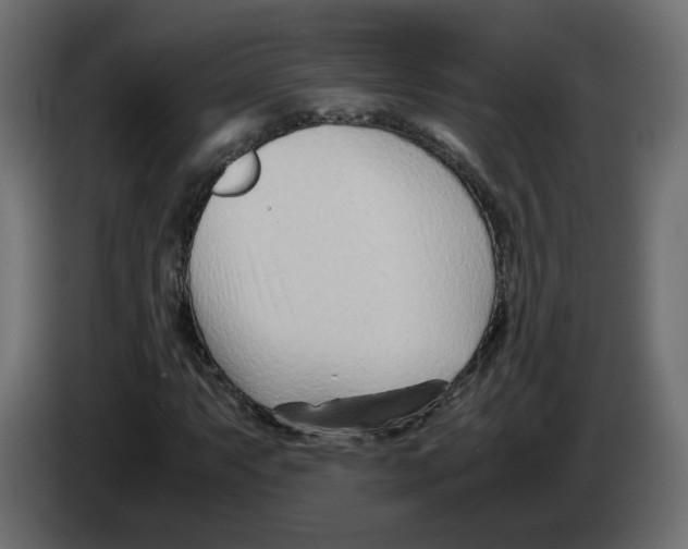 X0000082951063200703020144