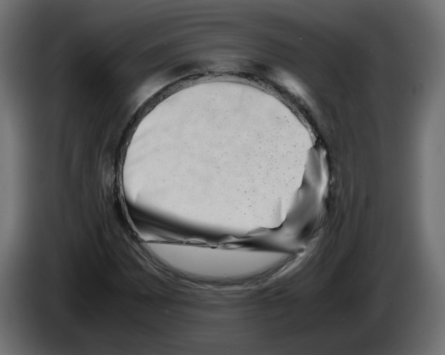 X0000082951065200703020144