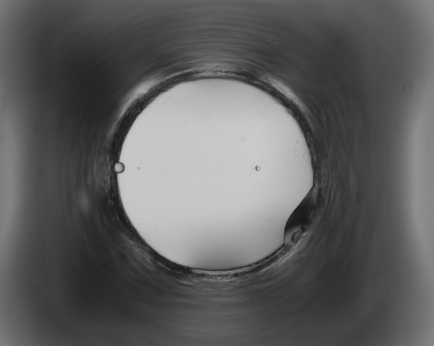 X0000082951067200703020144