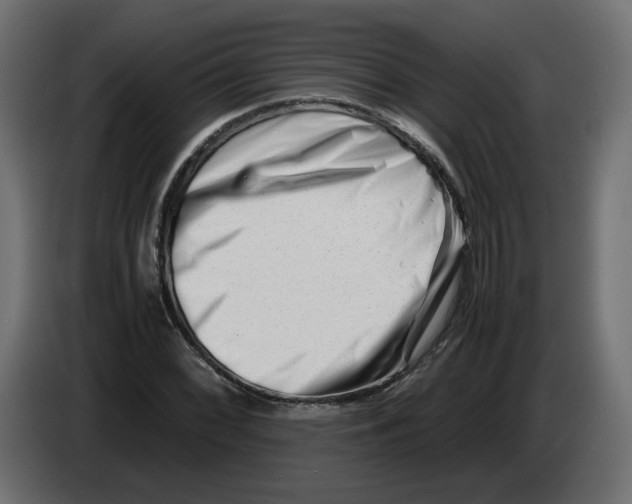 X0000082951068200703020144