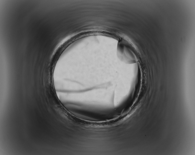 X0000082951069200703020144