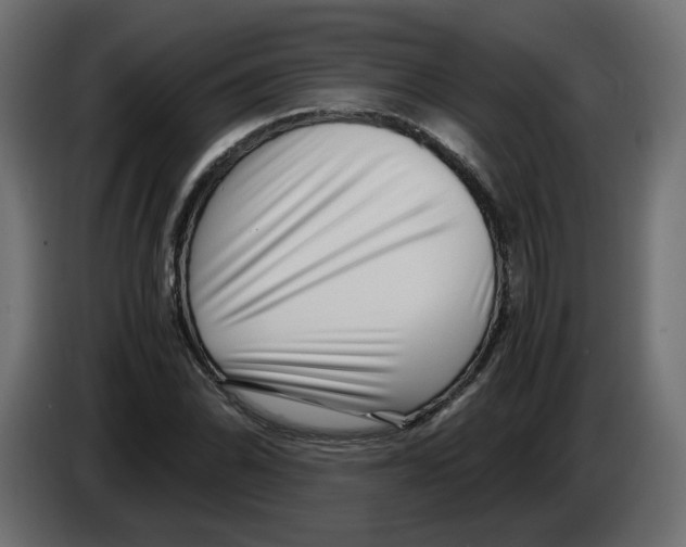 X0000082951070200703020144