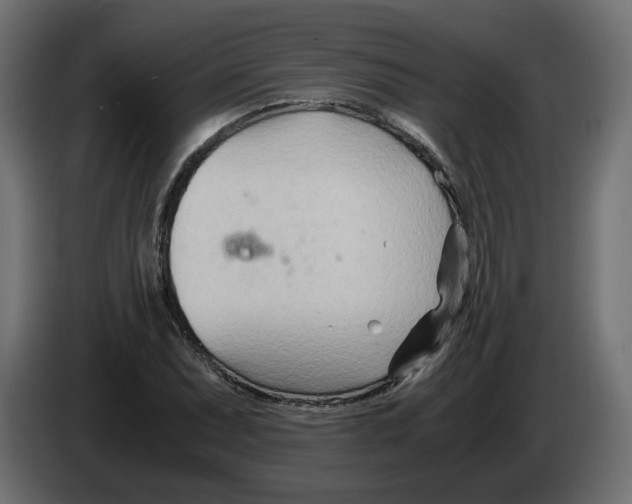 X0000082951071200703020144